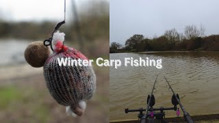 Winter Carp Fishing My Local Club Lake [upl. by Eahsat]