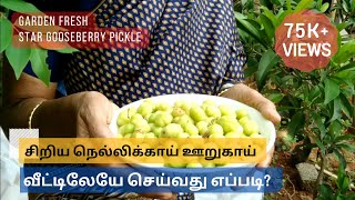 பாரம்பரிய முறையில் சிறிய நெல்லிக்காய் ஊறுகாய்  Traditional Star Gooseberry Pickle Recipe in Tamil [upl. by Derfla]