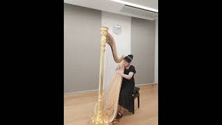 Wei JIANI harp Giovanni Battista Pescetti Sonata in c minor [upl. by Larrej790]