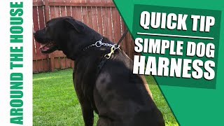 how to turn your dog leash into a DIY dog harness [upl. by Mcfarland]