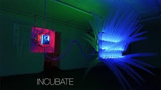 INCUBATE SHIH CHIEH HUANG SOLO EXHIBITION AT RONALD FELDMAN GALLERY [upl. by Cindra438]