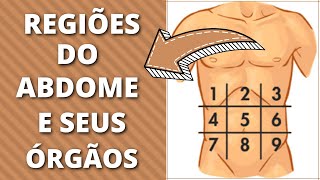 Aprenda as Regiões do Abdome e Seus Órgãos [upl. by Retepnhoj]