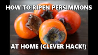 How To Ripen Persimmons At Home Clever Hack [upl. by Baggett142]