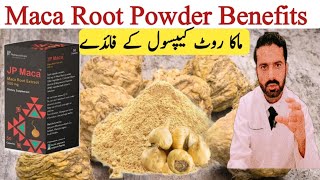 Maca Root Uses in Urdu Hindi  Maca Root benefits  Maca Roots Types  Dr Nadeem Pharmacist [upl. by Adnoluy]