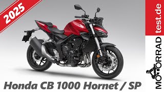 Honda CB 1000 Hornet  SP  Neu für 2025 [upl. by Ewer54]