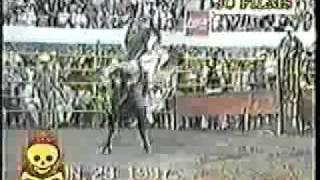 100 MUERTES DEL JARIPEO 232425EL TIBURON DEL GOLFORUBEN NEVAREZRUBEN LEON [upl. by Dilan340]