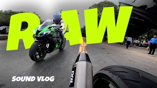 2024 Kawasaki ZX6R Pure Sound with IXIL Exhaust [upl. by Nnylanna683]