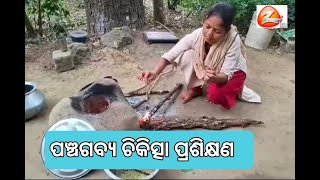 ପଞ୍ଚଗବ୍ୟ ଚିକିତ୍ସା ପ୍ରଶିକ୍ଷଣ [upl. by Elsworth]