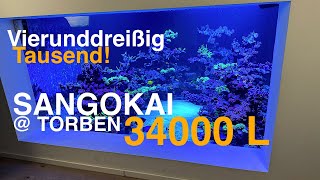 SANGOKAI  Torben 34000 L Korallen amp seltene Fische [upl. by Netsrijk]