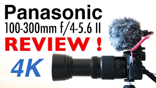 Panasonic 100300mm f456mm II Lens Review 4K UHD [upl. by Nnaear]