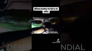 Dilon baby tirándole a el alfa [upl. by Mcleod]