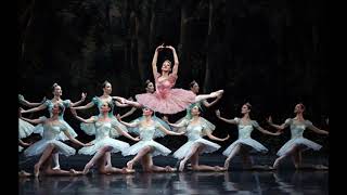 BALLET VARIATION MUSIC  Dulcinea Alternate Don Quixote [upl. by Layod582]