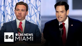 Gov Ron DeSantis will choose US Senator if Rubio joins Trump administration [upl. by Narf]