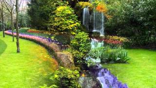 Vozes da Primaveravalsa de Johann Strauss Jr  wmv [upl. by Baiss]