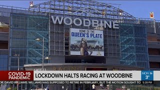 Business Report Lockdown hits Woodbine Racetrack hard [upl. by Seldan586]