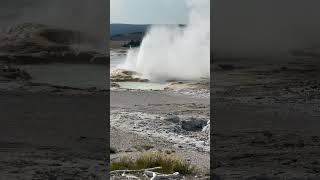 Clepsydra Geyser Yellowstone National Park [upl. by Nosmoht]