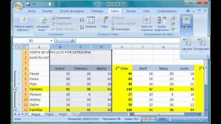 Excel 2007 13 Crear un esquema de forma manual [upl. by Perzan45]