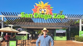 What To Do At The San Diego Zoo In 2024 [upl. by Elroy]