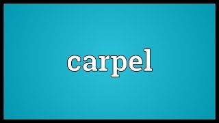 Carpel Meaning [upl. by Ojoj]