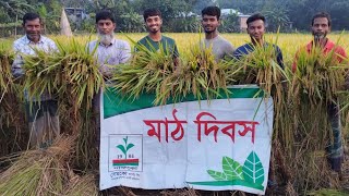 Discretion Bangladesh Krishi Kotha paddyagriculturefor youviralpage [upl. by Shimberg961]