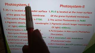 Difference between Ps1 and PSII [upl. by Erdied]