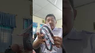 UNBOXING PAKET TIMING BELT DAN OXYGEN SENSOR XENIA LI 1000 CC [upl. by Arabelle]