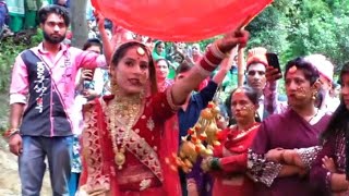 Grand Bridal Entry Dance  Marriage Entry Dance  Babbu Production [upl. by Cirdet]