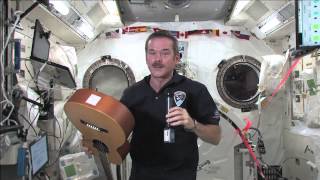 Canadians Converse About Life in Space [upl. by Dekeles]