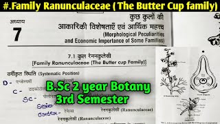 Family Ranunculaceae in Hindi  The Butter cup family  BSc 2nd year Botany 3rd Semester [upl. by Ellek]