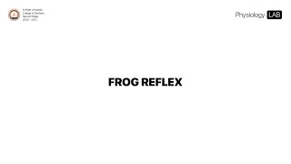 Frog Reflex Test  Physiology LAB [upl. by Bamford]