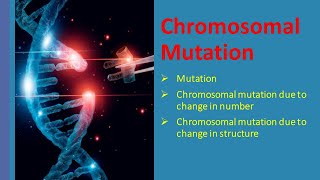 Chromosomal Mutation  Types of Chromosomal Mutation [upl. by Lamb]