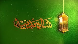 Shah e Madina Rabi ul Awwal Special [upl. by Nail]