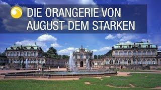 Dresdner Zwinger  Gärten in Sachsen  Schlösserland Sachsen [upl. by Esom]