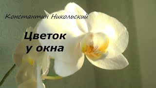 Константин Никольский quotЦветок у окнаquot Konstantin Nikolsky  Flower by the window [upl. by Hose]