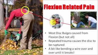 Bulging Disc Exercises For Instant Pain Relief [upl. by Wills]