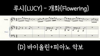 바이올린피아노악보 루시개화D키 Lucy Flowering Violin and Piano sheet music in D major [upl. by Reinhardt]