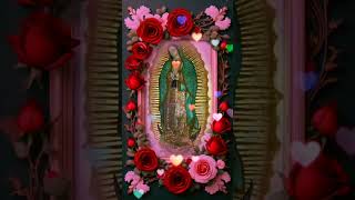 ALAVANZA ALA VIRGEN DE GUADALUPE family music christmas song amor mensajesdios [upl. by Scoter]