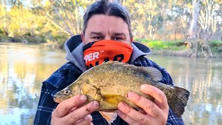 Yellowbelly Crayfish and Murray cod fishing in the Ovens River [upl. by Rankin843]