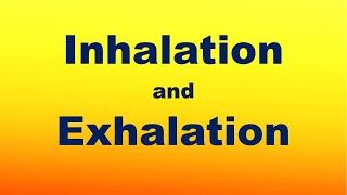 Inhalation and Exhalation Process [upl. by Pantin]