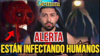 ALERTA EL CASO DE GEMINI HOME ENTERTAINMENT [upl. by Aicemed376]