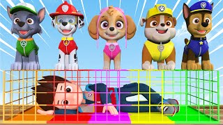 5 Giant Paw Patrol Dont Choose the Wrong Christmas Present CHALLENGE Holiday Game 3D Animation [upl. by Longawa]