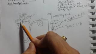 RENAL TUBULAR ACIDOSIS  USMLE STEP 1 [upl. by Sokil]