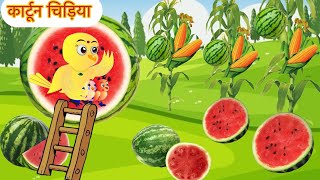 कार्टून चिड़िया Episode Rano Chidiya Wala CartoonTuni Acchi Cartoon Hindi Kahani Tunibindass [upl. by Divad]