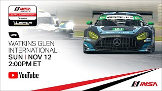 IMSA Esports Global Championship  Round 2  Watkins Glen International [upl. by Nohsed464]