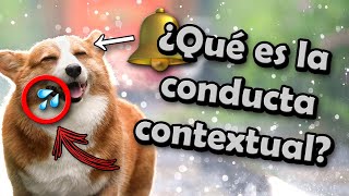 📕 LA FUNCIÓN CONTEXTUAL EN PSICOLOGÍA 🥘➡️🔔➡️🐺➡️💦 [upl. by Shum]