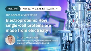 Dr Lutz Grossmann Electroproteins  How singlecell proteins are made from electricity [upl. by Aisad]