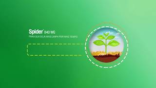 Spider®  Dow AgroSciences  Movimento Fora Buva e Amargoso [upl. by Furie]