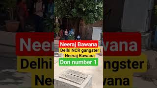 Neeraj Bawana group court mein peshi per jaate hueneerajbawanagangsternaveenbalinbgroup [upl. by Gavan]