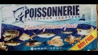 POISSONNERIE  Ce quil faut savoir dans ce Business [upl. by Allys]