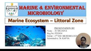 Marine ecosystem  littoral zone [upl. by Madonna]